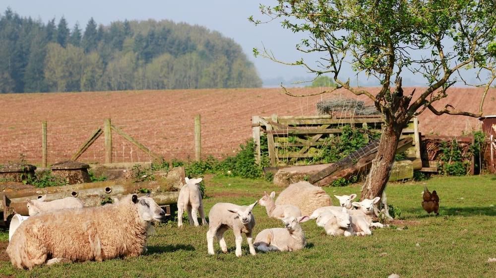 Huntlands Farm Bed & Breakfast Bromyard Exterior photo